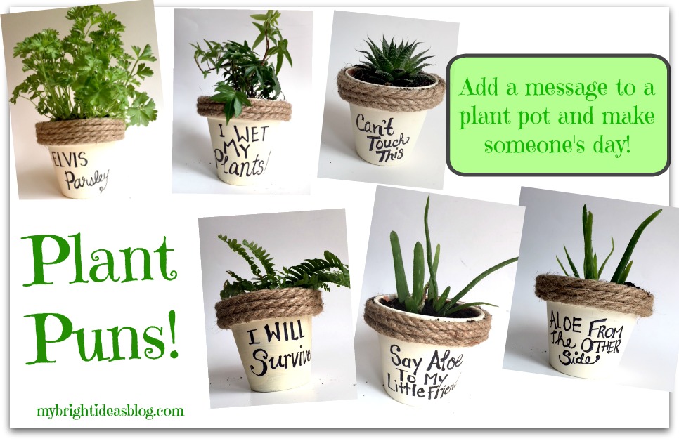 Looking for a fun project? This potted plant idea takes dollar store items and a plant and turns it into a sweet gift. mybrightideablog.com
