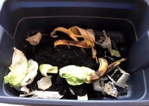 Vermicomposting indoor Compost Bin using Red Wiggler Worms. Easy DIY Project for the whole family! mybrightideasblog.com