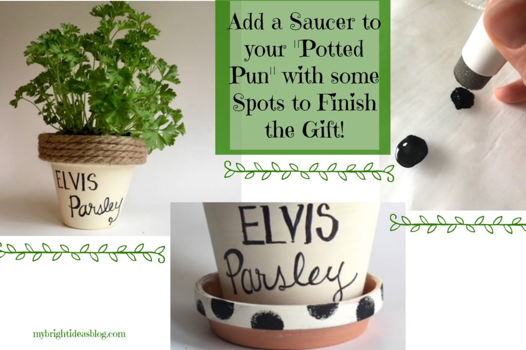 Add a spotty saucer to your painted flower pot. Great gift, earth day inexpensive project. mybrightideasblog.com