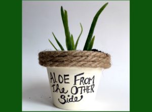 Adorable upcycle to a plain terracotta flower pot. Aloe from the other side-a play on Adele's song mybrightideasblog.com