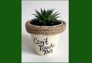 Can't Touch This Plant Pun for Cactus Easy Project mybrightideasblog.com