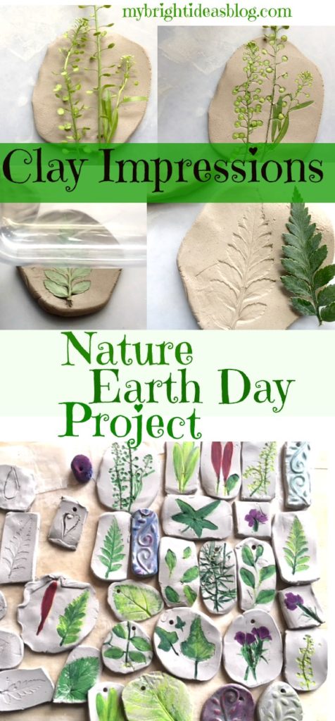 Nature Craft for Earth Day Projects, Beautiful and Easy Kids Craft. mybrightideasblog.com