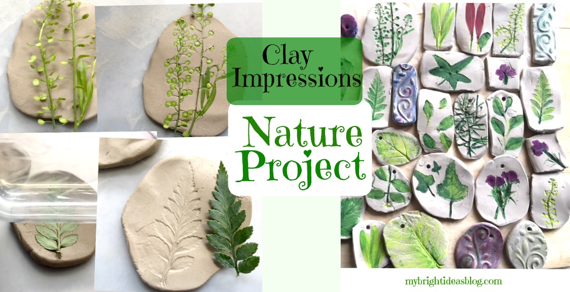 Looking for a nature craft for Earth Day Projects? This Clay Impressions Craft is Easy and Facinating! mybrightideasblog.com