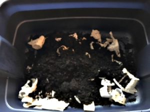 How to make a Worm Composting Bin. 2 Bins, Paper, Soil, Red Wiggler Worms, Fruit and Vegetable Peelings. Its that easy! mybrightideasblog.com