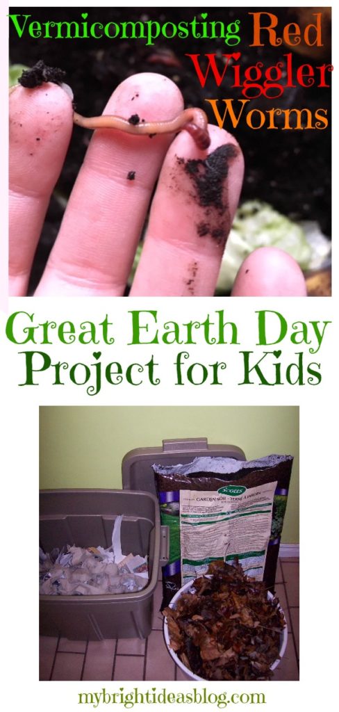Vermicompost is composting with red wiggler worms. Easy to set up and compost indoors all winter long. Great Earth Project for Teachers. Children are facinated with this and its green for the planet to compost. mybrightideasblog.com