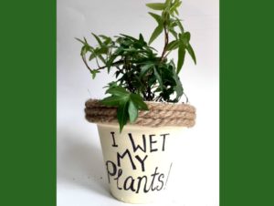 I wet my plants! This cracks me up everytime! Make a funny housewarming gift with a terracotta pot, rope and paint. Dollar store items! mybrightideasblog.com