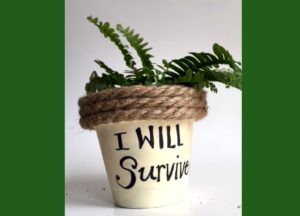 I will survive! Motivational message on a flower pot. Or just a good gift for someone who doesn't usually keep their plants alive. Easy DIY. mybrightideasblog.com