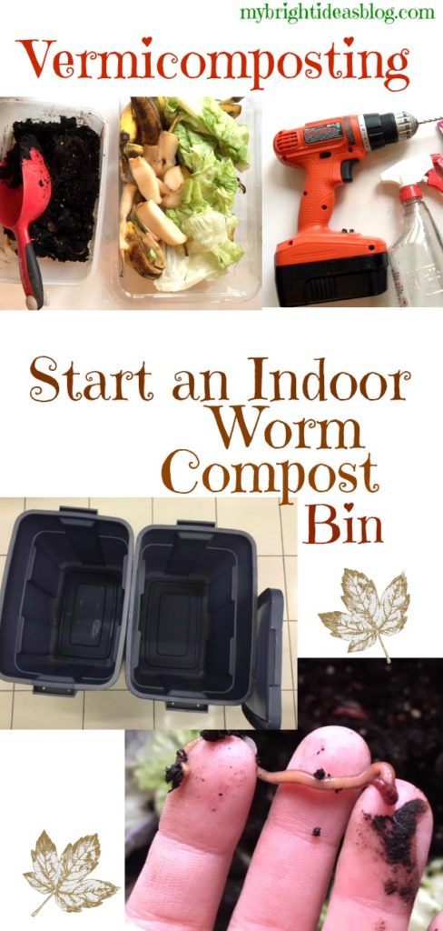 Starting an indoor Compost Bin is Easy. Check out my tuitorial on Vermicomposting with Red Wiggler Worms. mybrightideasblog.com