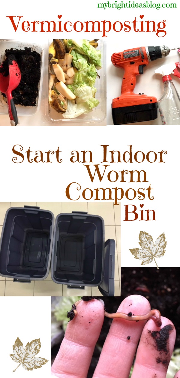 Easy Vermicomposting! How To Start An Indoor Worm Compost Bin! - My ...