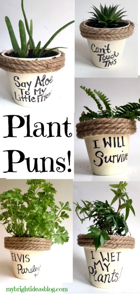 Easy Gift Idea! Paint flower pots, add rope and a silly pun. Even kids could make this! mybrightideasblog.com
