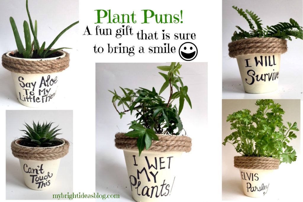 Simple Cheery Gift Idea! Paint a joke, song lyric, inspirational saying onto your flower pot. Make someone smile! mybrightideasblog.com