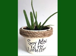 Say Aloe to my Little Friend. Potted plant funny gift idea. Easy and inexpensive. mybrightideasblog.com