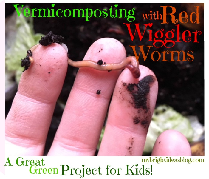 Use RED WIGGLER WORMS to make an indoor compost bin. Fantastic Kids Experiment! mybrightideasblog.com
