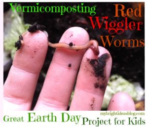 Vermicomposting - Composting indoors with red wiggler worms-Easy to set up! mybrightideasblog.com