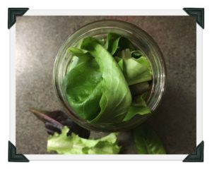 Prepare healthy lunches for the week by making salads in mason jars. mybrightideasblog.com