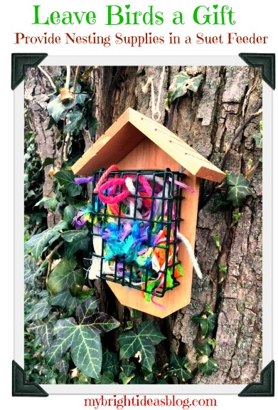 Use a suet bird feeder to leave birds nest building supplies. It also adds a splash of color to your garden. mybrightideasblog.com