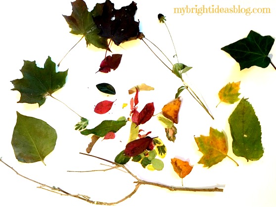 Make Beautiful Autumn Art! Use crayons paper and leaves and see the design they will make. Easy kids craft for fall. mybrightideasblog.com