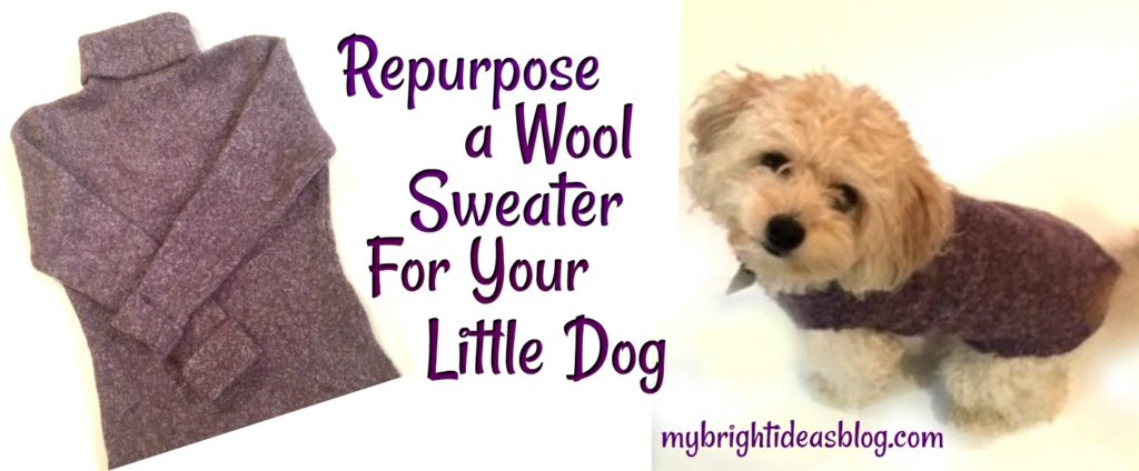How to make a small dog sweater by upcycling a wool sweater. Easy to make and no sewing! mybrightideasblog.com