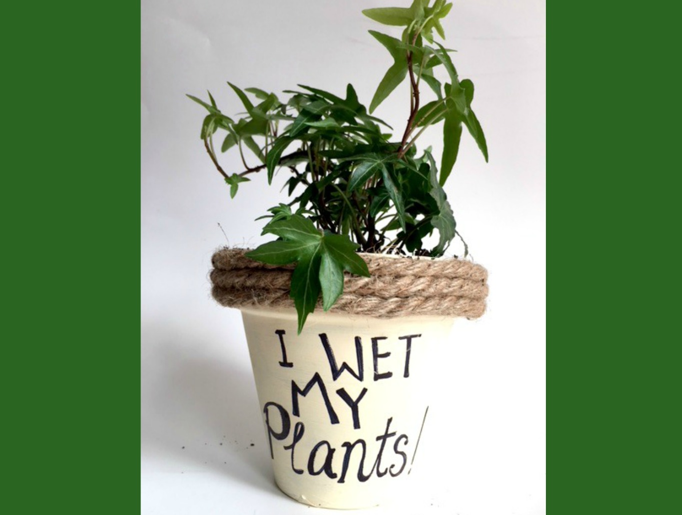I wet my PLANTS plant pun  - My Bright Ideas
